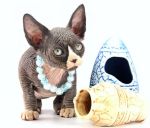 ������� ����� �.�.30.11.2025�. ��������